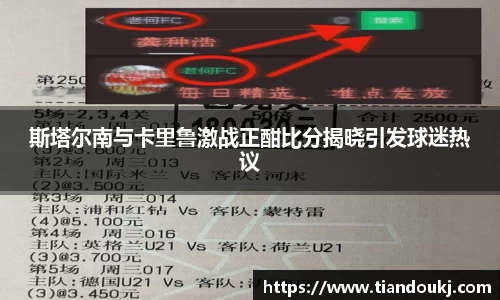 斯塔尔南与卡里鲁激战正酣比分揭晓引发球迷热议